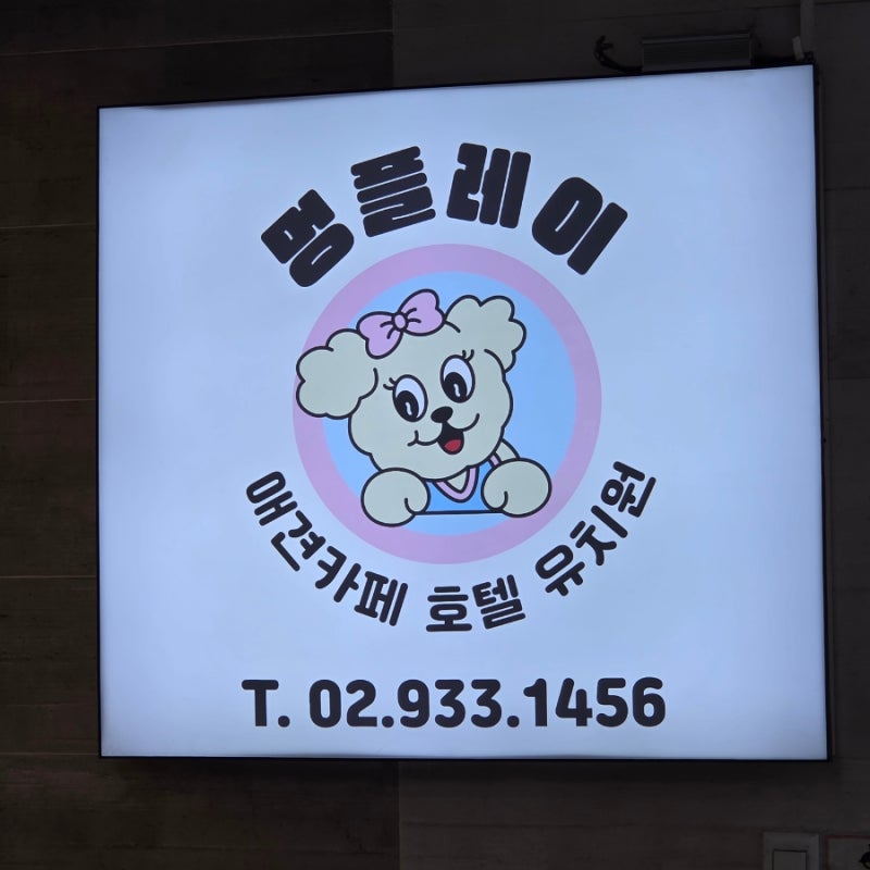 멍플레이 애견카페