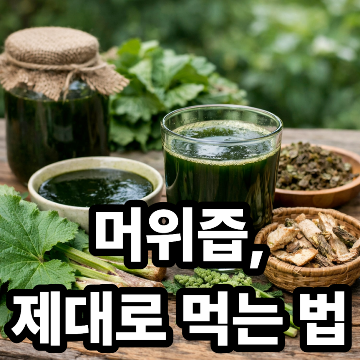  머위즙 효능과 올바른 섭취법, 건강하게 먹는 핵심 가이드 