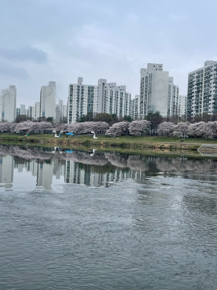  밝은 태양 좀 떠라~