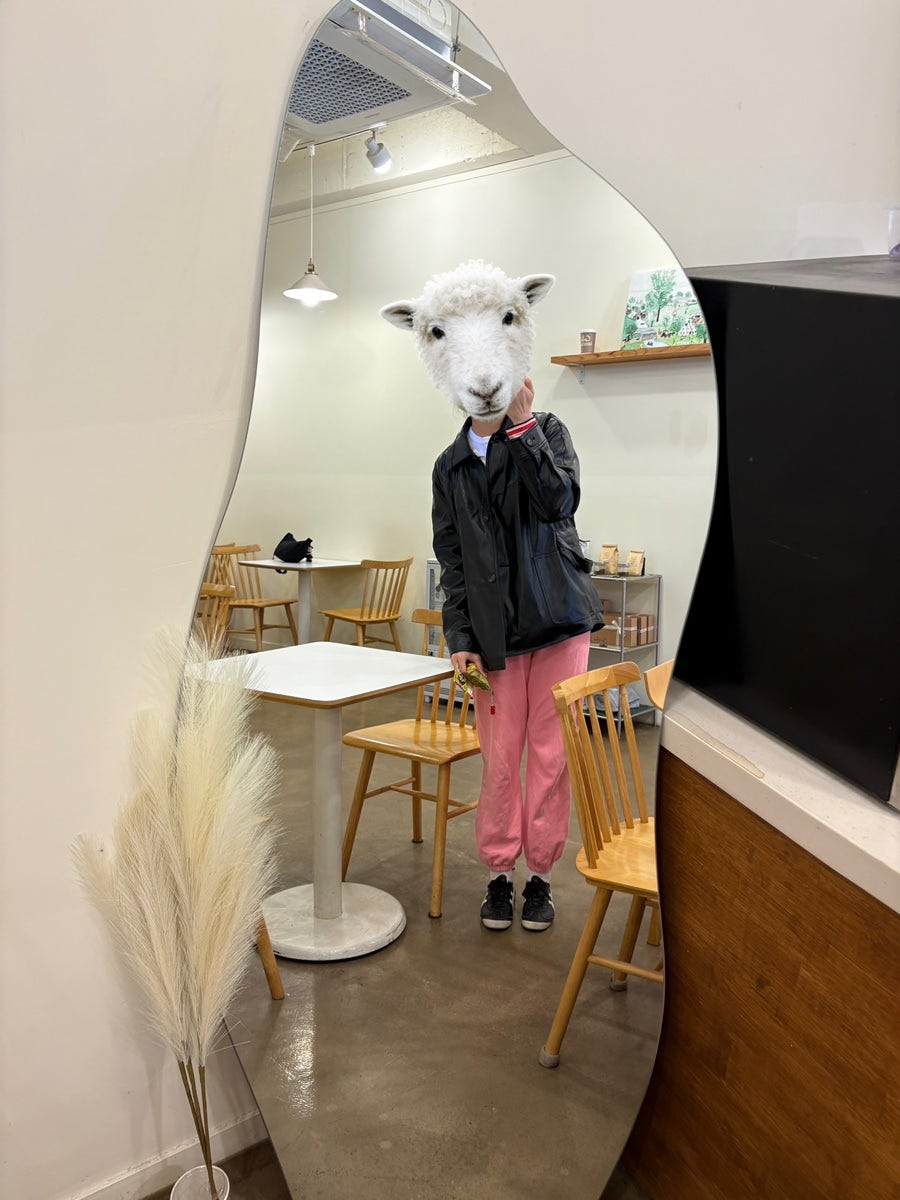 카페수다 사진 5