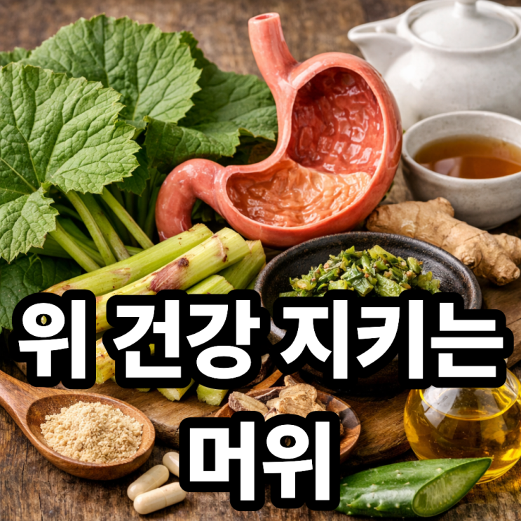  머위가 위 건강에 좋은 이유, 속 편해지는 봄나물의 비밀