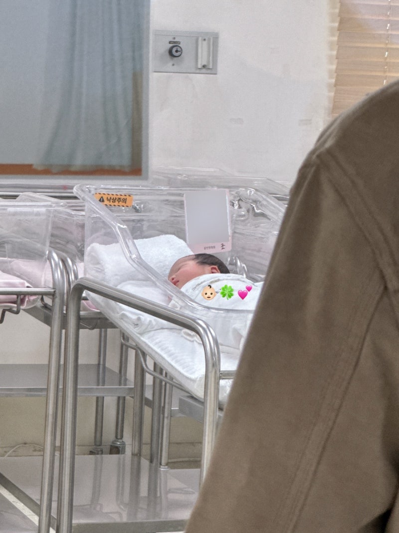 출산 후기(1) 인정병원 자연분만 진통 후, 응급 제왕절개 다인실 3인실 입원 후기