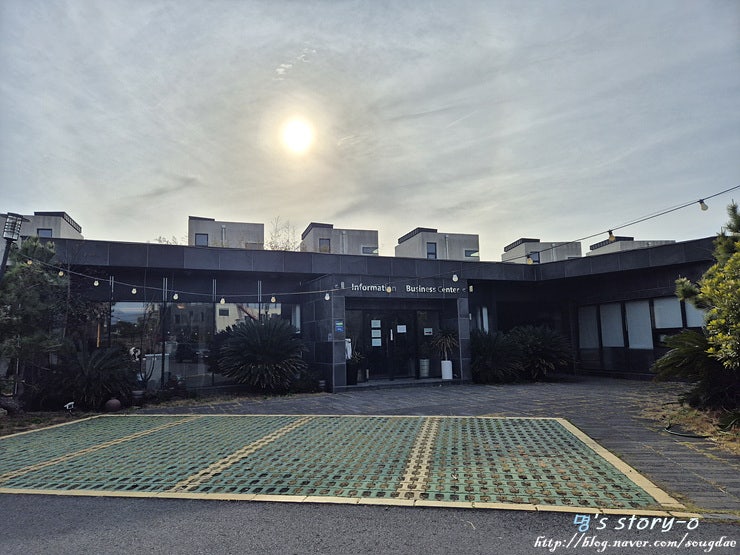 사진 5