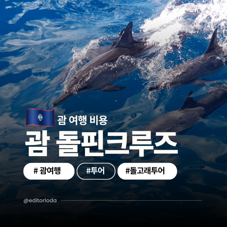  괌 여행 비용 경비 3박 4일 코스 투어 추천 괌 돌핀크루즈 팁 시간 돌고래