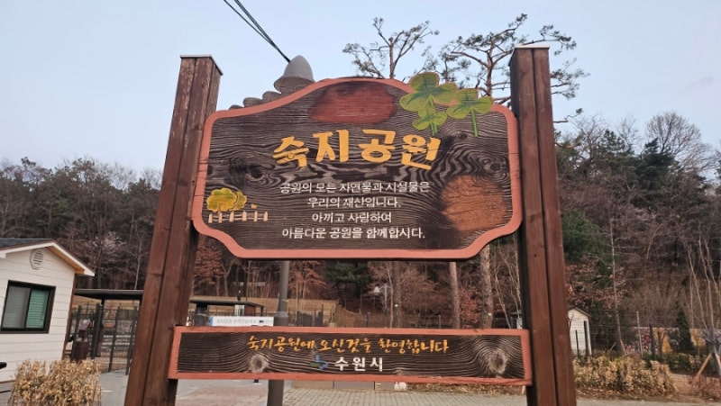 사진 7