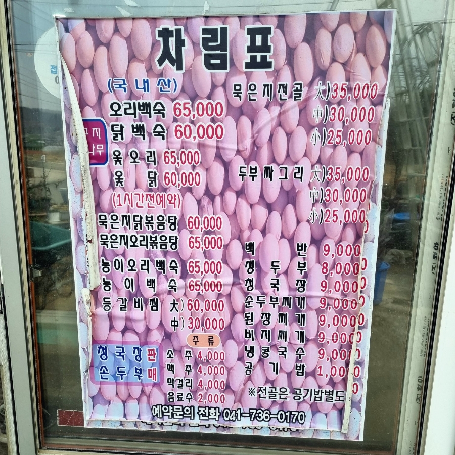Kongkongiwacheongcheongi photo 5