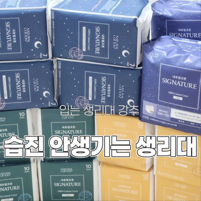 예민피부 생리대 추천｜습진·두드러기 올라오던 내가 정착한 이유 (입는 생리대까지 솔직후....