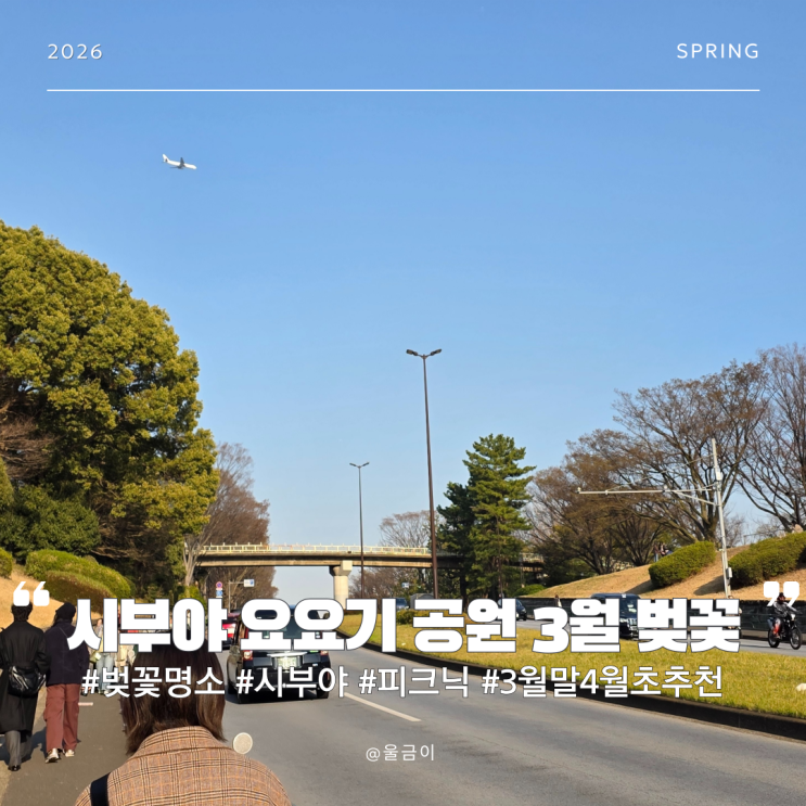  일본 도쿄 3월말 4월초 유명 벚꽃 명소 산책 데이트하기 좋은 시부야 피크닉 요요기 공원 벚꽃동산