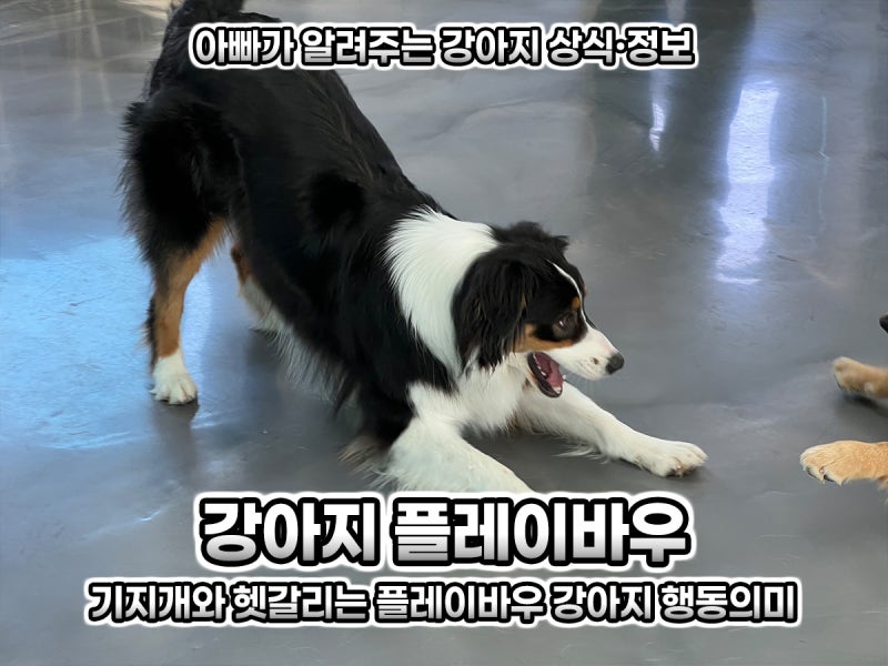 사진 10