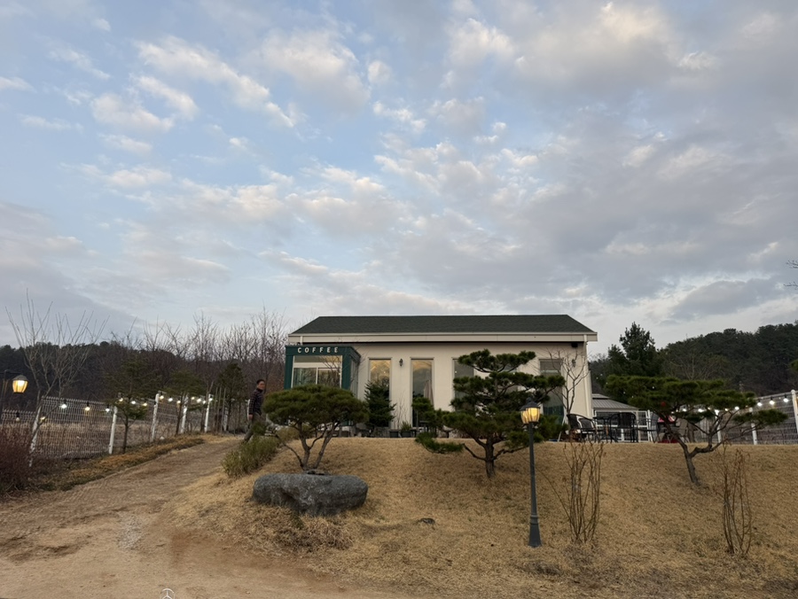 그린그린그린 사진 1