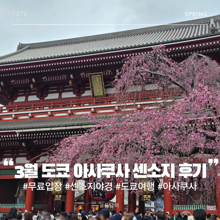  3월 일본 도쿄 여행 무료 입장 가능 가장 오래된 사찰  아사쿠사 센소지 벚꽃 후기