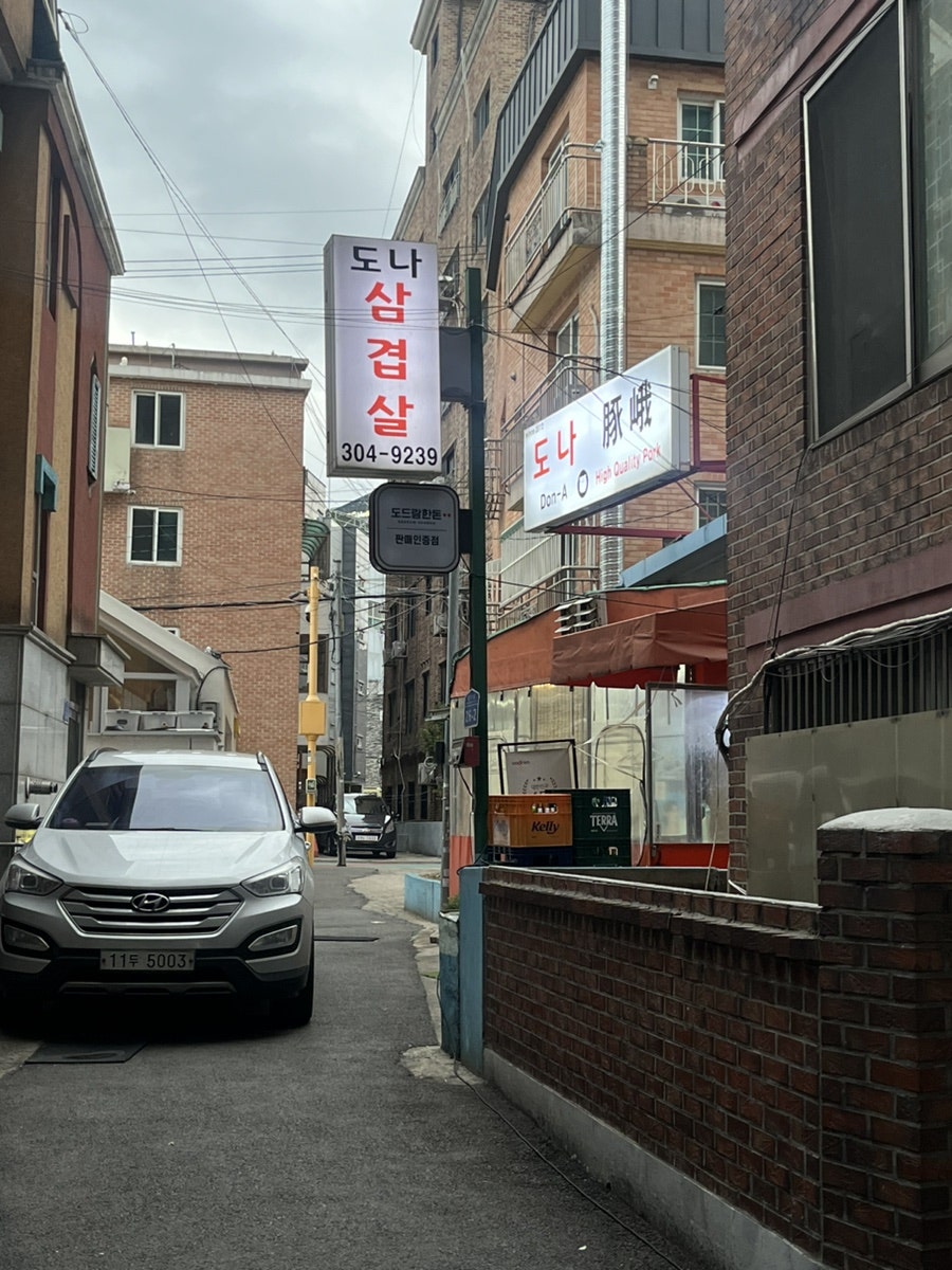 도나 사진 1