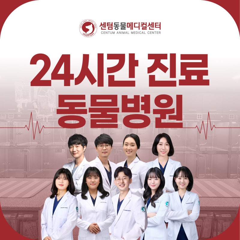 24시간 진료 가능한 부산 동물병원 '24시 센텀동물메디컬센터'(4월 8일 부터)