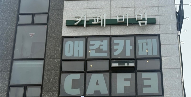 사진 3
