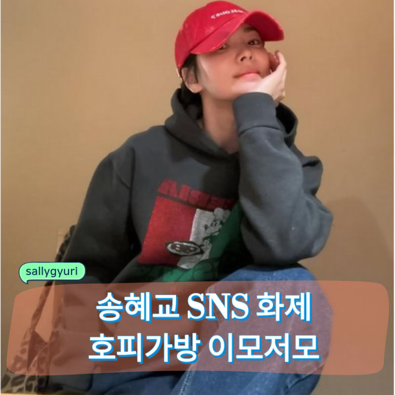 송혜교 SNS 호피가방 뭐길래 화제일까