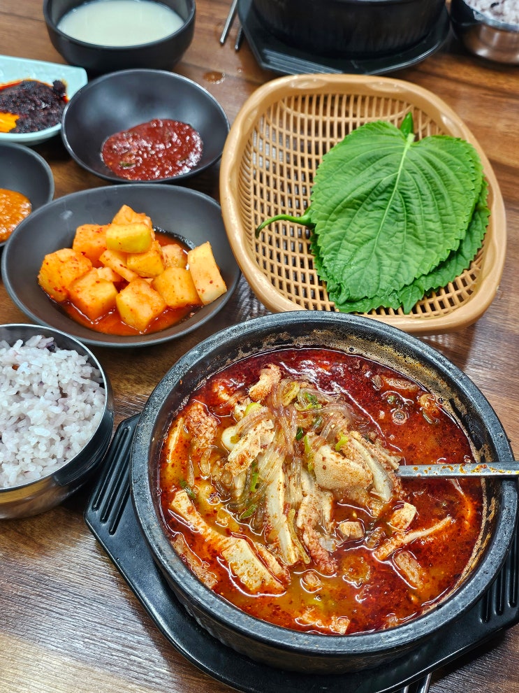  제주 '함덕골목' 깻잎에 싸 먹는 내장탕 추천 내돈내산 웨이팅 찐 현지인 맛집