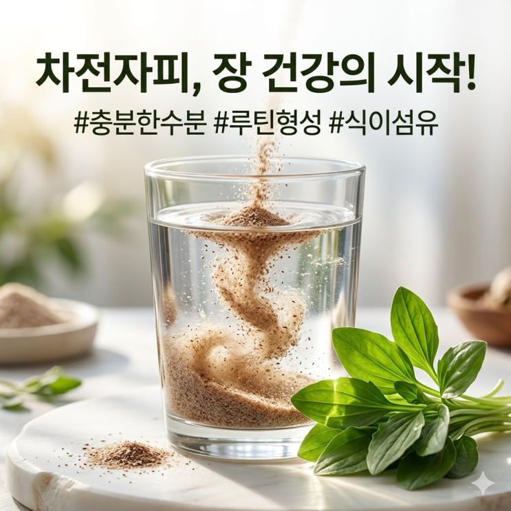  차전자피 식이섬유 쾌변하려다 응급실? 부작용 피하고 변비 탈출하는 법