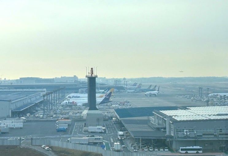  도쿄 공항 완벽 비교｜나리타 vs 하네다, 현지 거주자의 현실 선택 기준