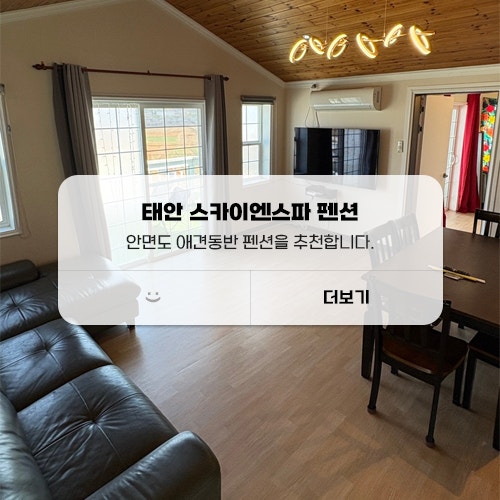 스카이엔스파펜션 — 태안군