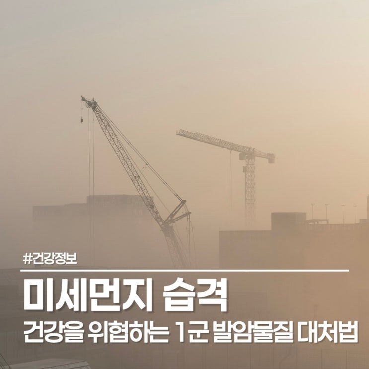  중국발 미세먼지의 실체와 효율적인 대응법, 단순한 먼지가 아닌 '화학물질'인 이유