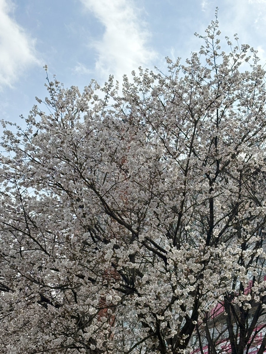 모학촌 사진 2