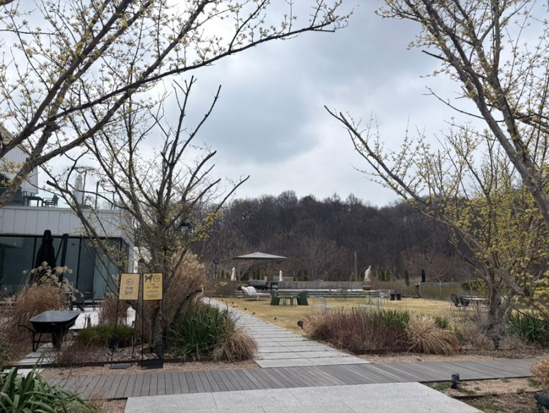 사진 8