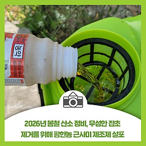 2026년 봄철 산소 정비, 무성한 잡초 제거를 위해 팜한농 근사미 제초제 살포