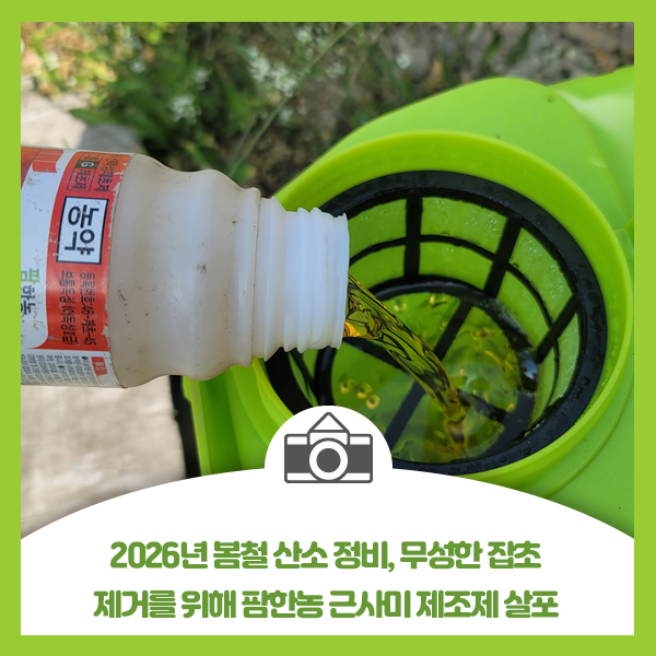 2026년 봄철 산소 정비, 무성한 잡초 제거를 위해 팜한농 근사미 제초제 살포