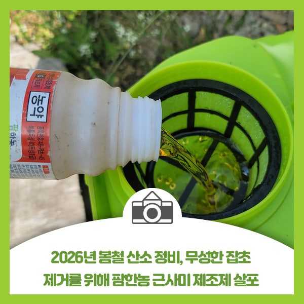 2026년 봄철 산소 정비, 무성한 잡초 제거를 위해 팜한농 근사미 제초제 살포