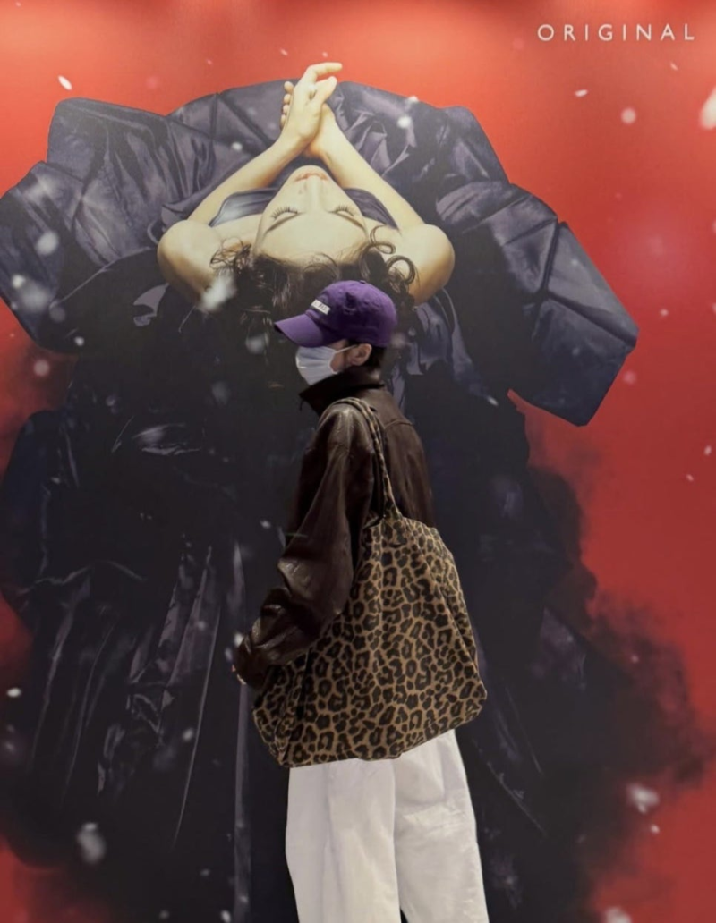 Song Hye-kyo's Luxury Leopard Print Bag is a Hit on SNS, What's the Brand?