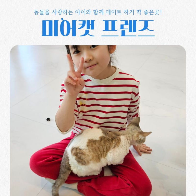 동물 좋아하는 아이들 데리고 가기 딱 좋은 파주 미어캣카페
