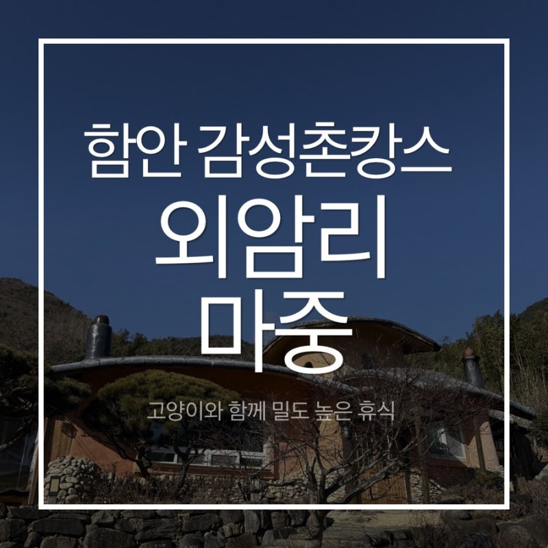 고양이가 있는 함안 감성 촌캉스 추천 외암리 마중