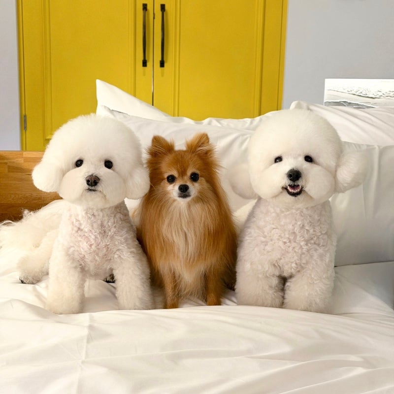 사진 5