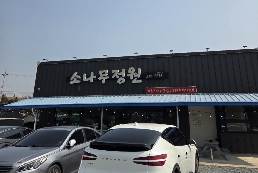소나무정원 사진 2