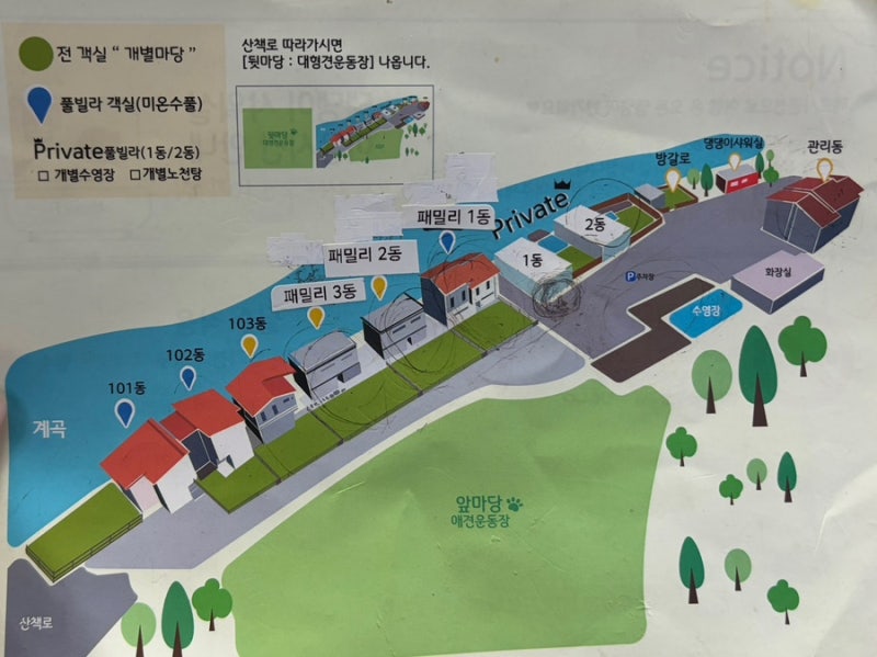 사진 6
