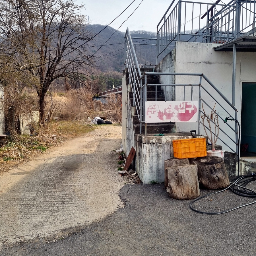 Kongkongiwacheongcheongi photo 3