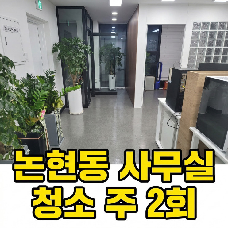  강남 논현동 사무실 청소업체 선정 기준, 주 2회 꼼꼼한 케어가 정답인 이유