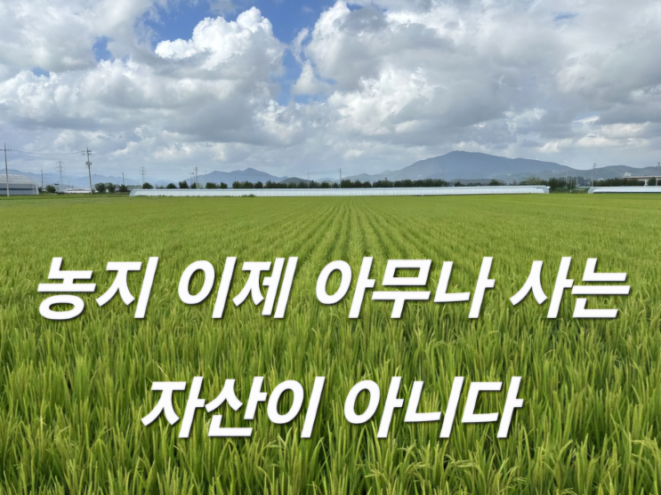  농지 투기 이제 끝.지금 농지 사도 될까. 정부 신호..
