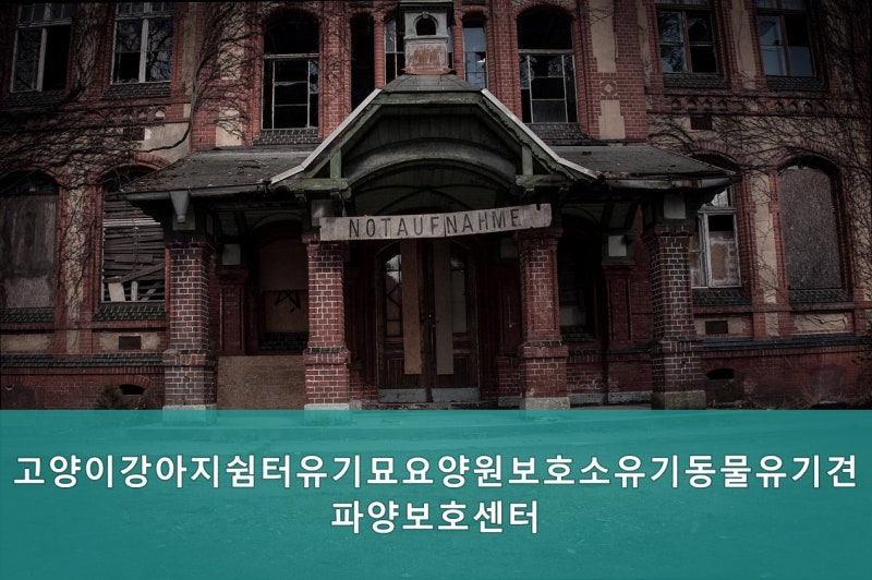 사진 3