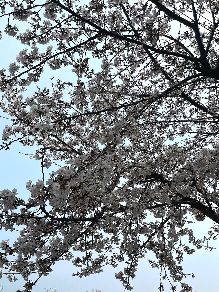 카사클라라 사진 1