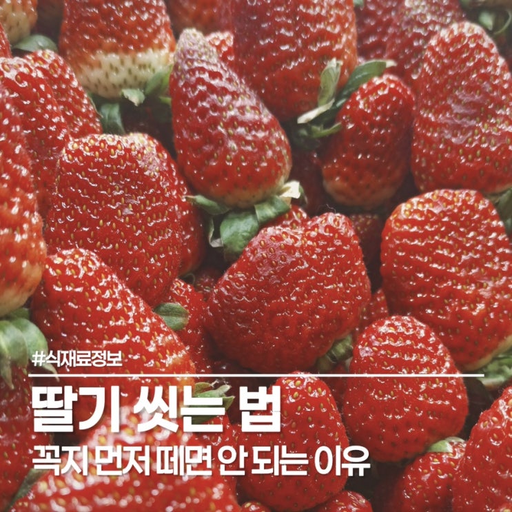  딸기 씻는 법, 4월의 보석 딸기 효능부터 세척, 보관법까지 한눈에