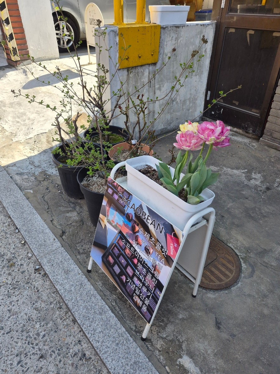 카카오빈 사진 4