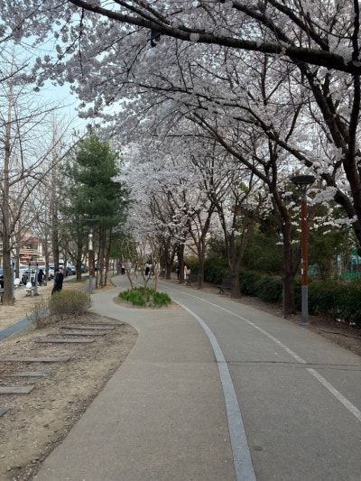 사진 2