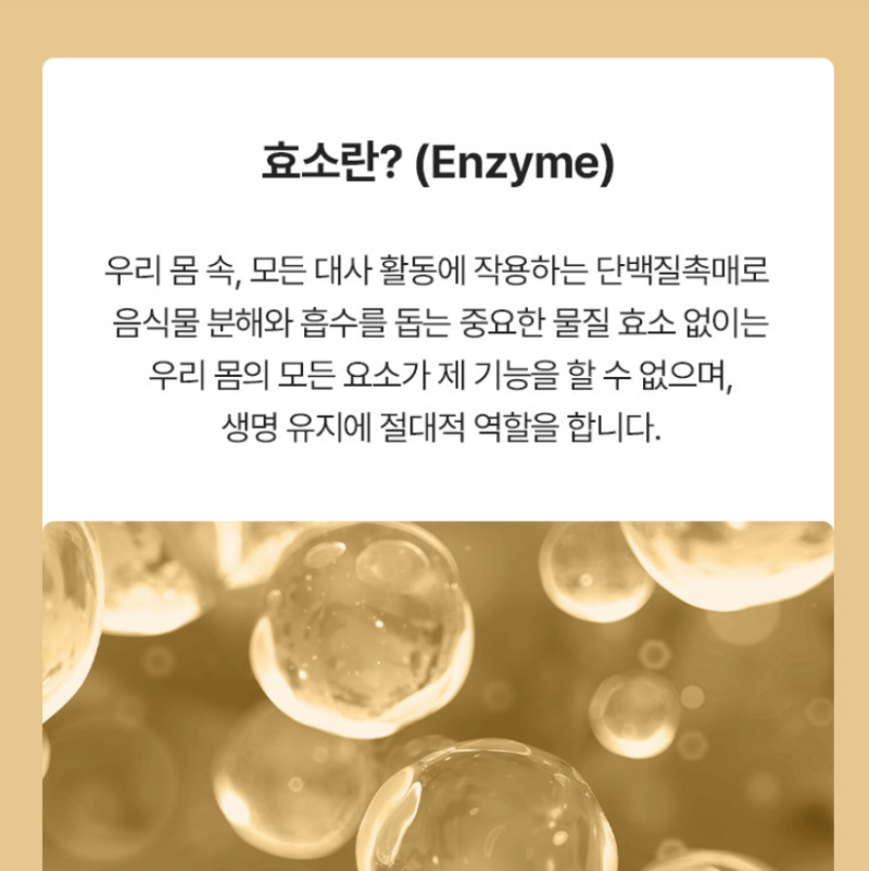 카무트 효소 3종 비교 총정리 | 뉴트리원 vs 비타민마을 vs CJ웰케어, 나에게 맞는 제품은?