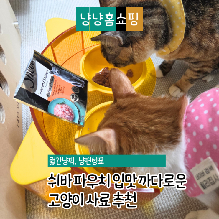  쉬바 파우치 입맛 까다로운 고양이 사료 추천 기호성 좋은 실제 반응 후기
