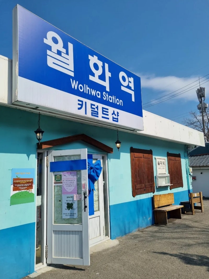 강릉 중앙시장 월화거리 소품샵 추천 3곳 (월화선물가게 란양품 월화역)