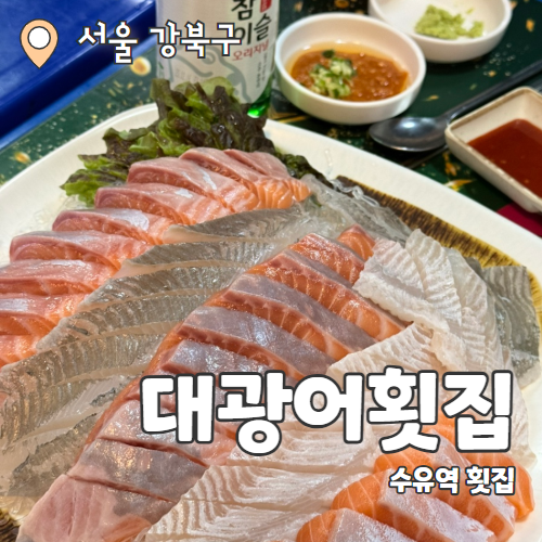  대광어회집 : 수유역 3월 봄도다리 횟집 내돈내산 추천후기