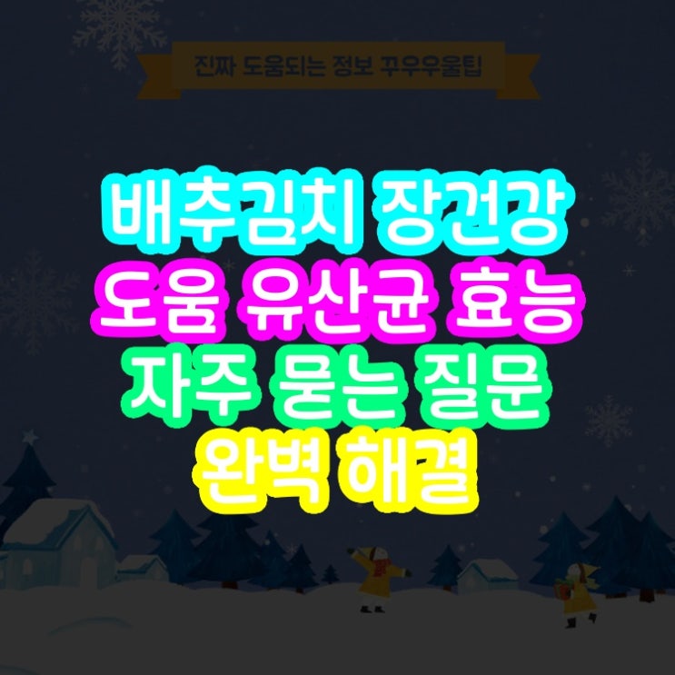  배추김치 장건강 도움 유산균 효능 자주 묻는 질문 완벽 해결