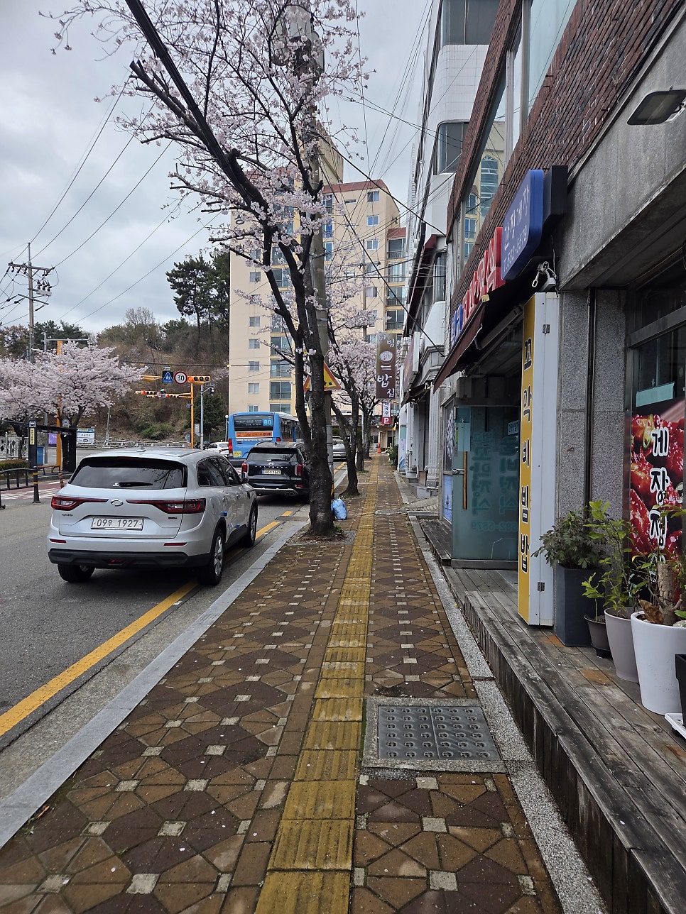 벌교꼬막정식 사진 2