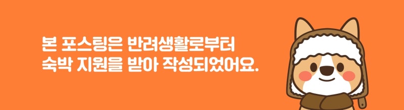 사진 9